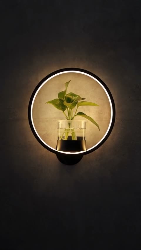 A round wall lamp holding a plant in a glass vase is switched on against a dark wall, its ring of light warming the leaves in close-up.